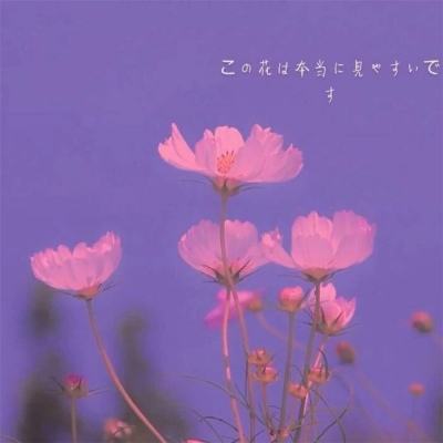 北京k10赛车下载app