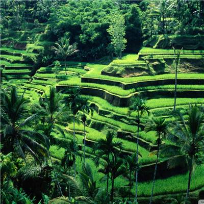 星空体育电子竞技